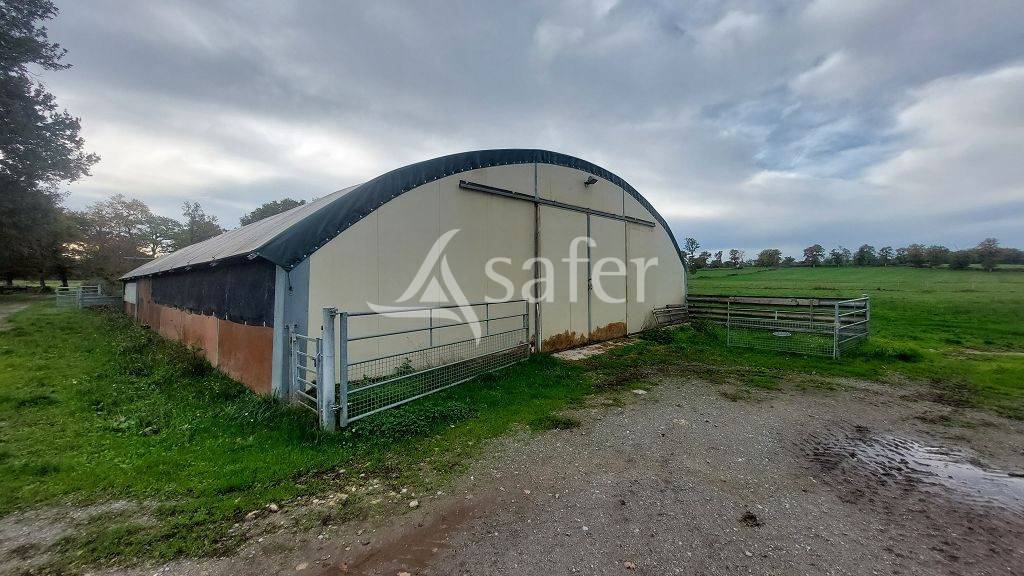 Schapen exploitatie Koop Haute-Vienne