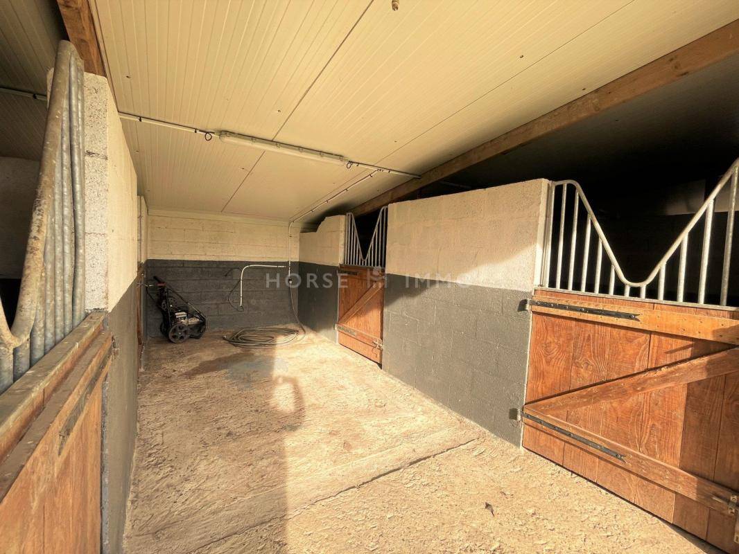 Stoeterij Koop Maine-et-Loire