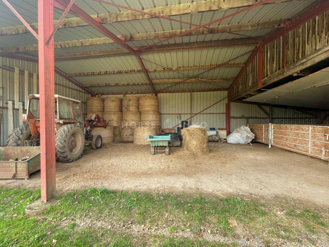 Stoeterij Koop Maine-et-Loire