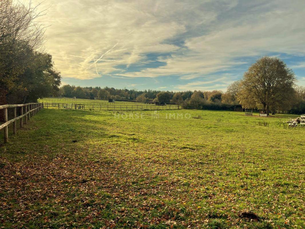 Stoeterij Koop Maine-et-Loire