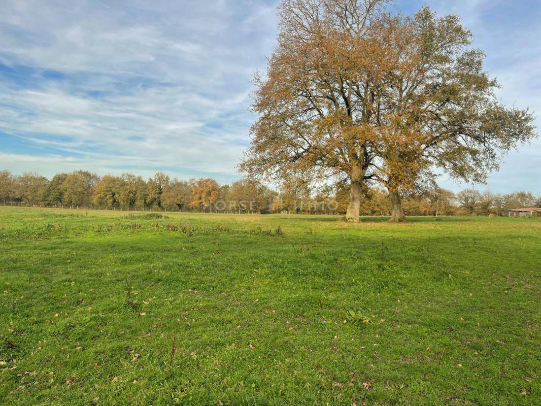 Stoeterij Koop Maine-et-Loire