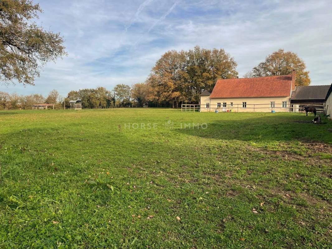 Stoeterij Koop Maine-et-Loire