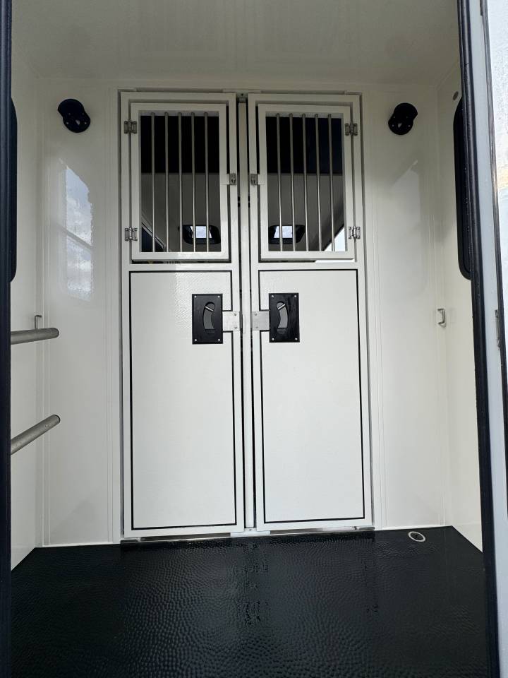 Kleine paardenvrachtwagen (B rijbewijs) Ameline Renault Master 2025 Nieuw