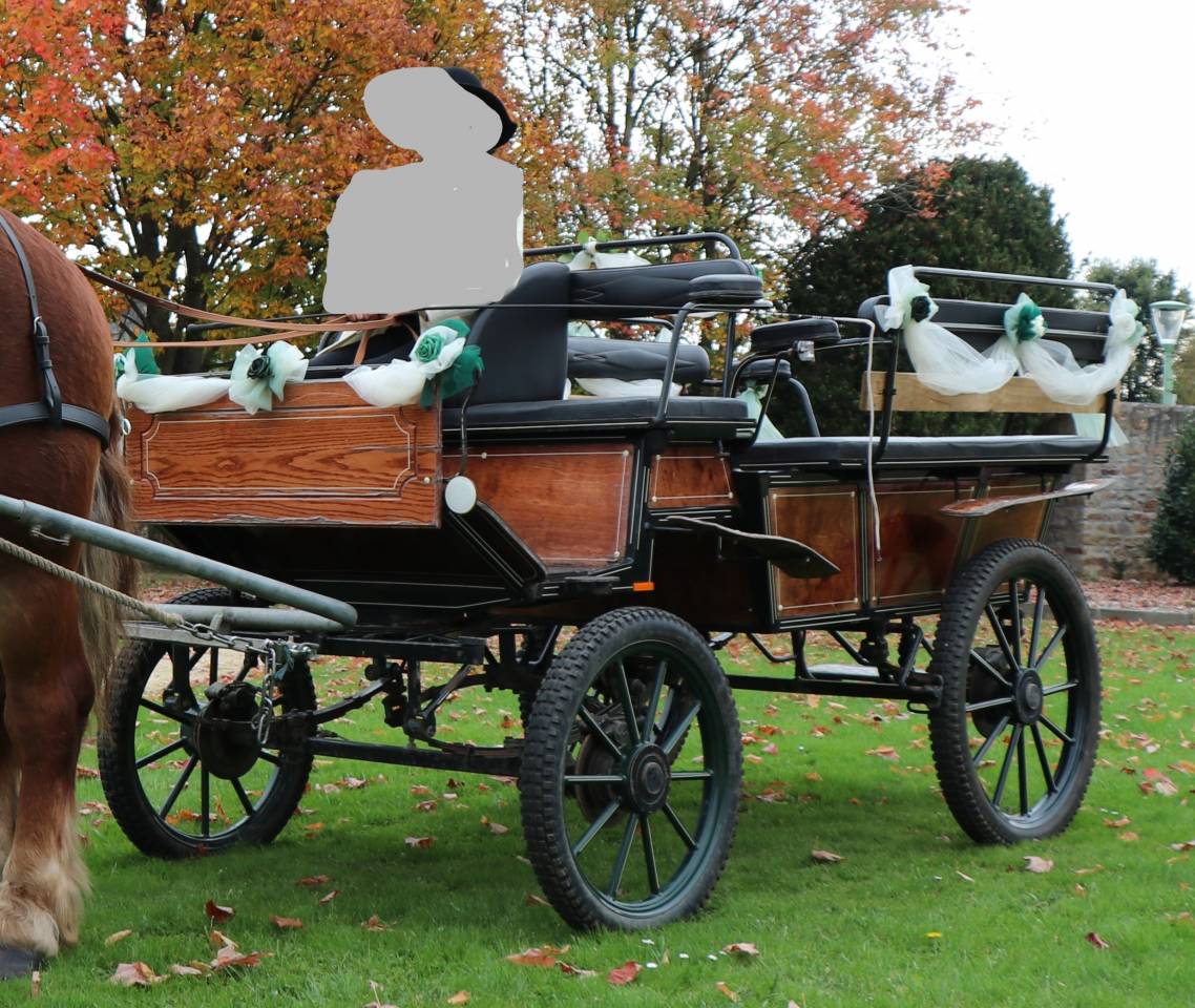 Rijtuigen - Wagonnette - Ander merk -  