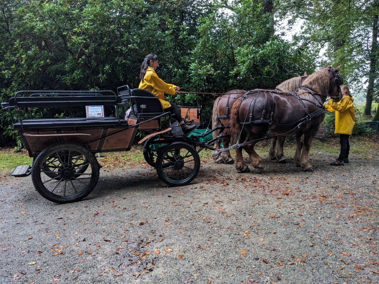 Rijtuigen - Wagonnette - Ander merk -  