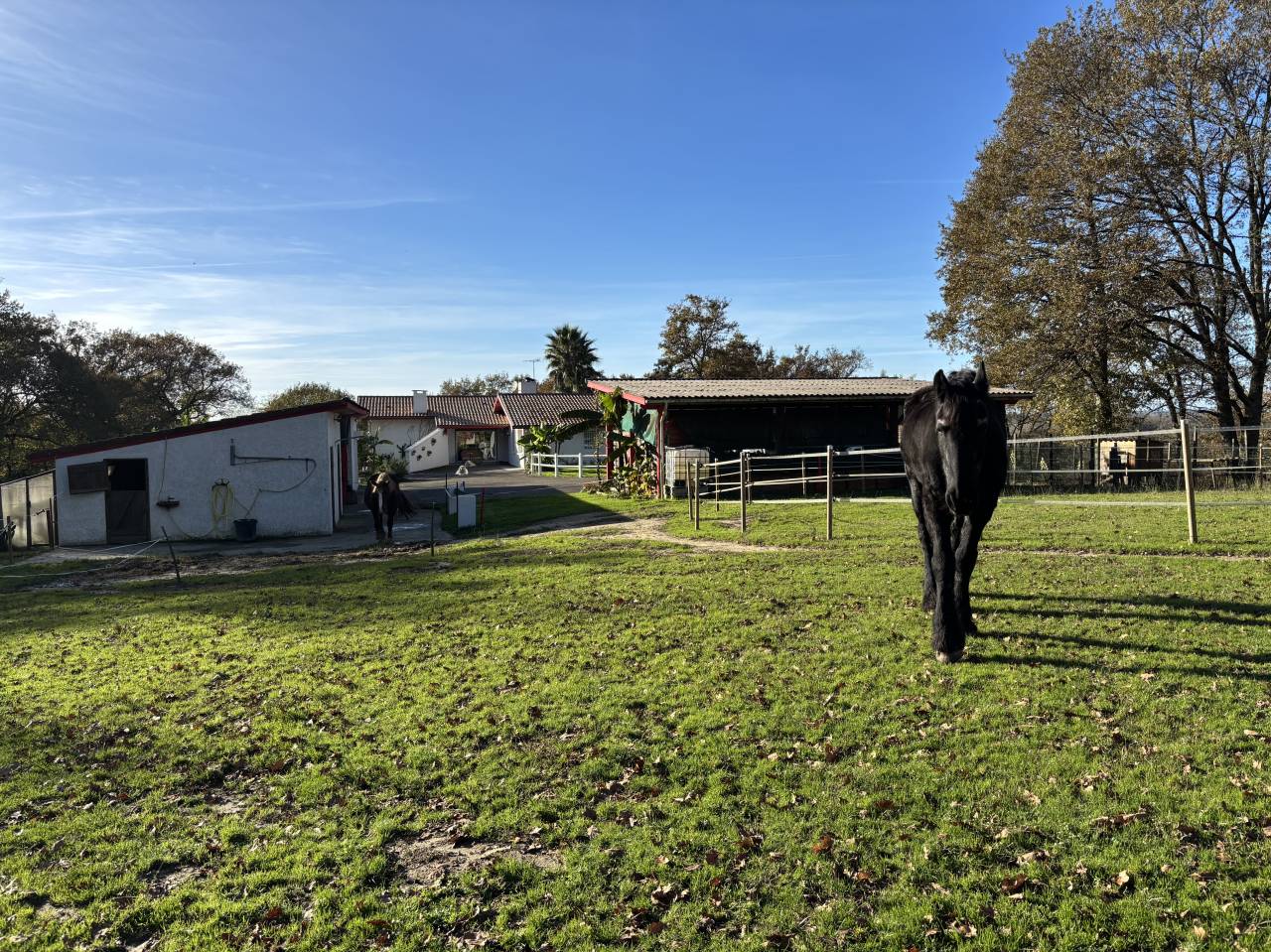 Hippisch vastgoed Koop Landes