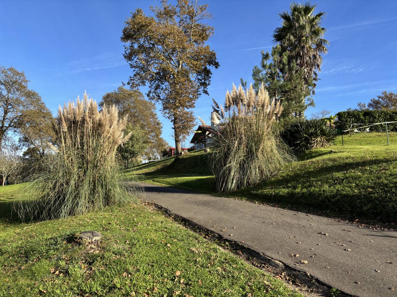 Hippisch vastgoed Koop Landes