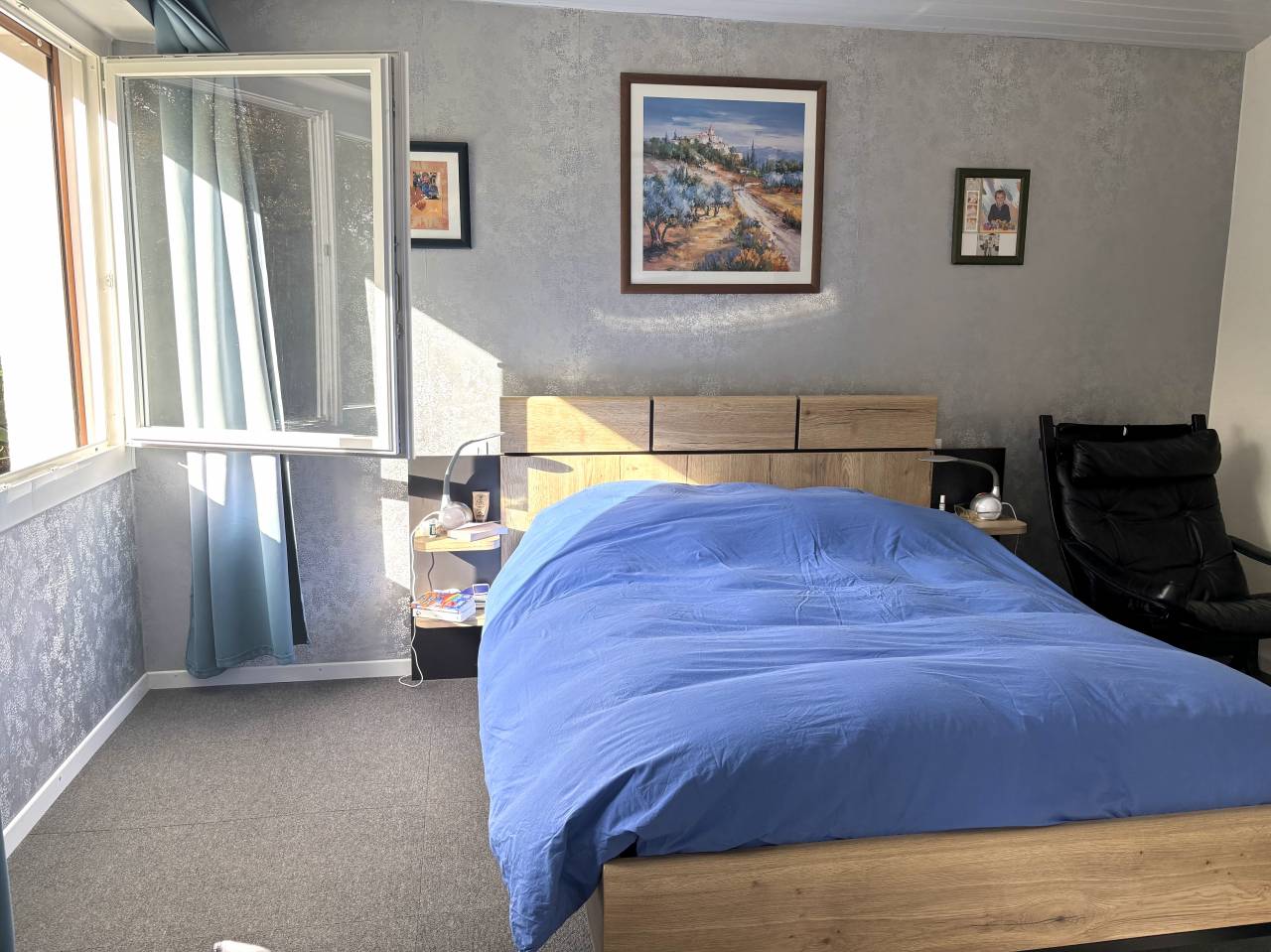 Hippisch vastgoed Koop Landes