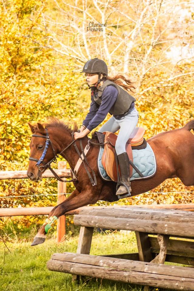 Ruin Ras onbekend Te koop 2020 Koffie vos