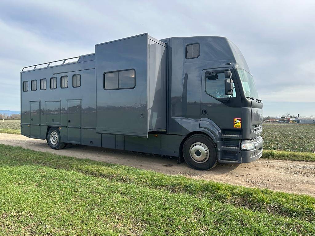 Zware paardenvrachtwagen (groot rijbewijs) Renault Premuim 340 1996 Tweedehands