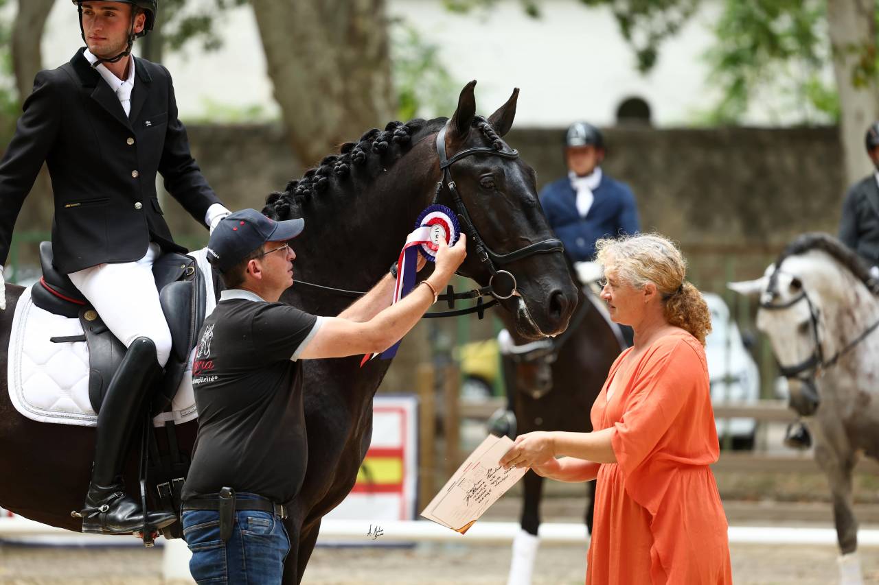 Jango NP - PRE Puur Ras Spaans 2019 ,  INTIMO SALVATELLA