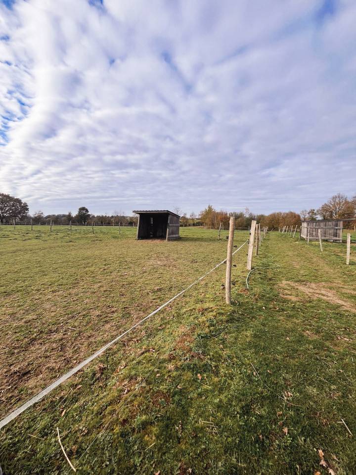 Mooi hippisch vastgoed Koop Ile-et-Vilaine