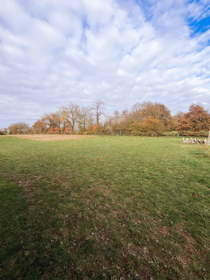 Mooi hippisch vastgoed Koop Ile-et-Vilaine