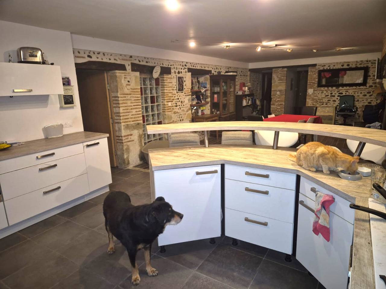 Hippisch vastgoed Koop Landes