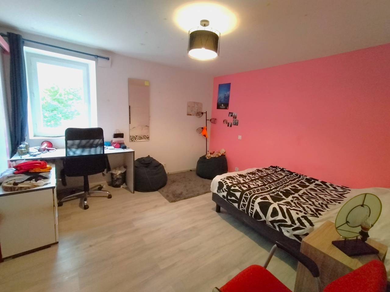 Hippisch vastgoed Koop Landes