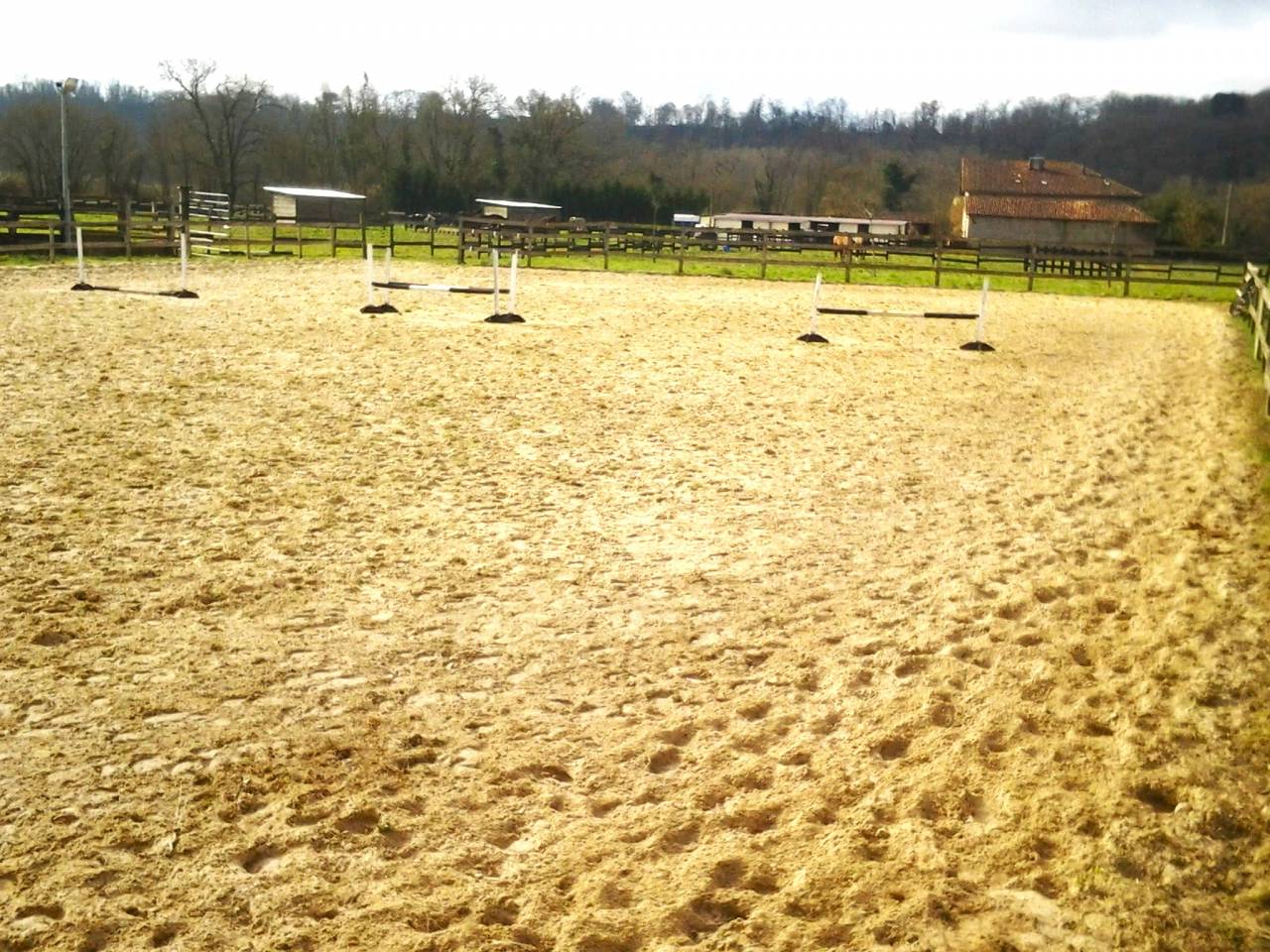 Hippisch vastgoed Koop Landes