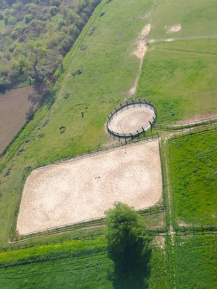 Hippisch vastgoed Koop Landes