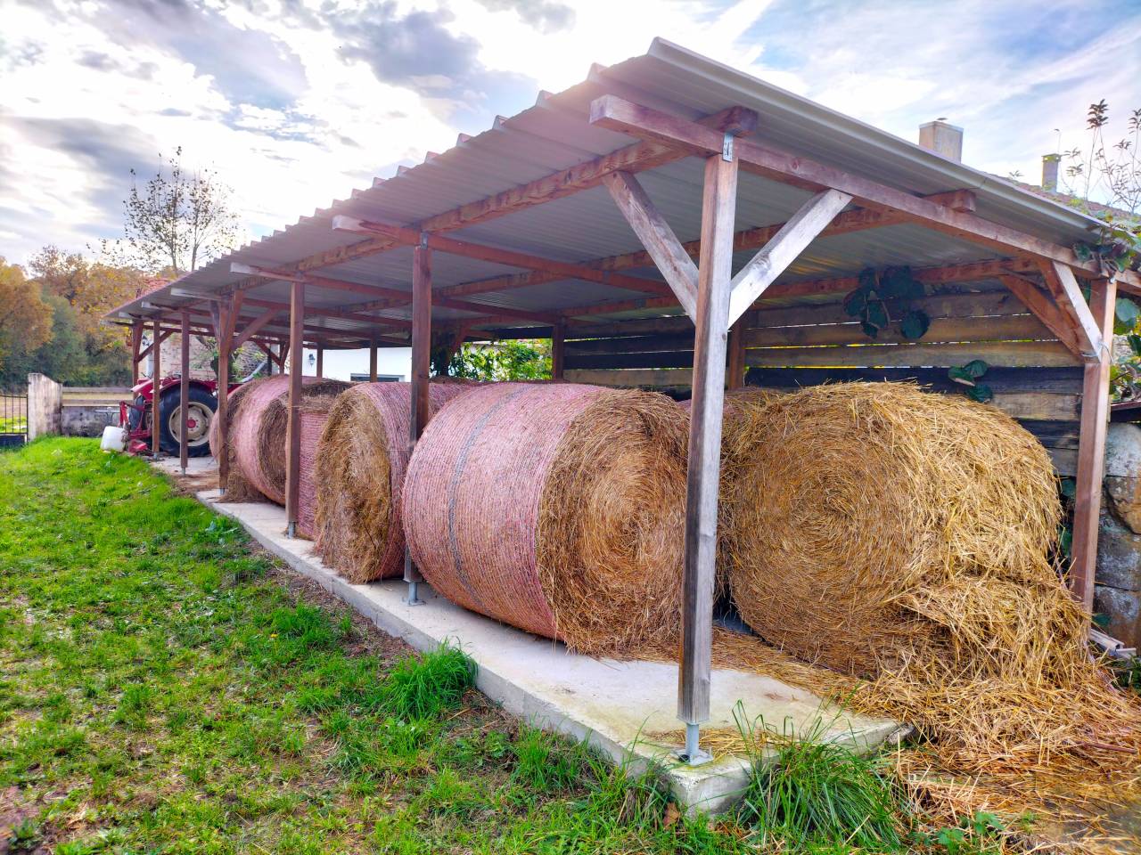 Hippisch vastgoed Koop Landes