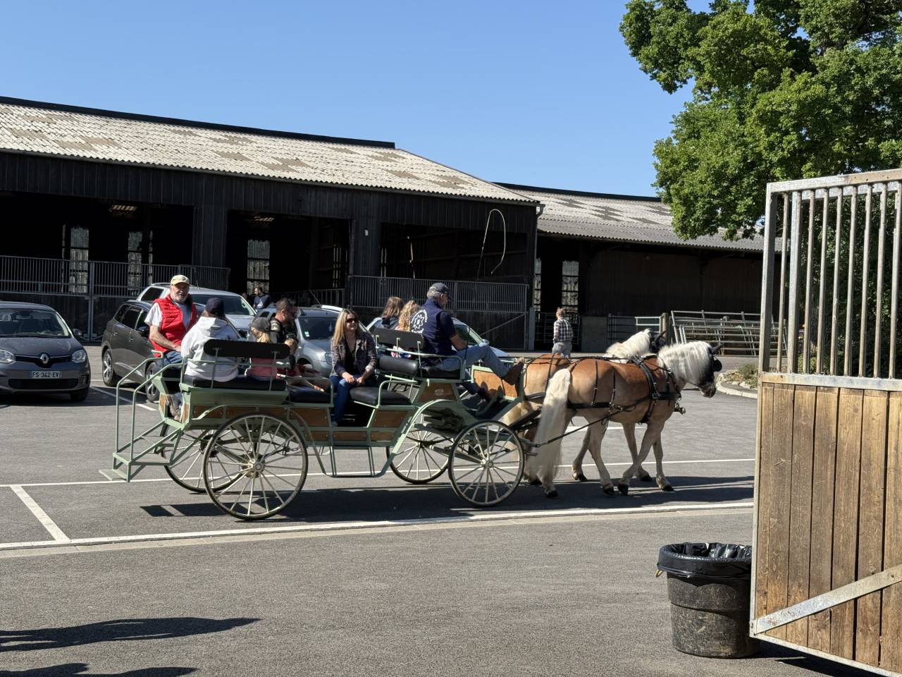 Ruin Haflinger Te koop 2016 Vos