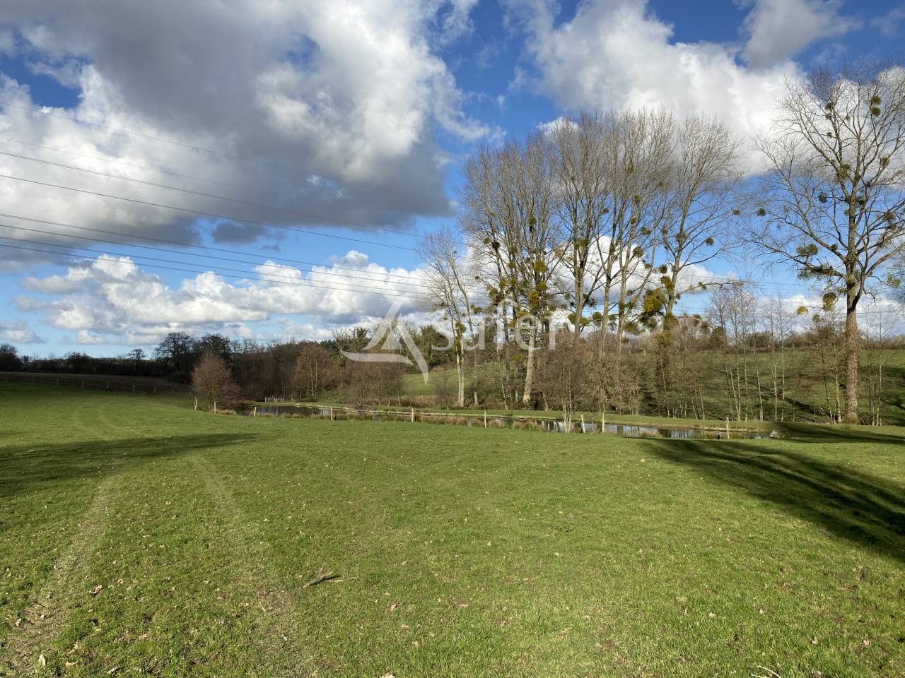 Melk exploitatie Koop Calvados