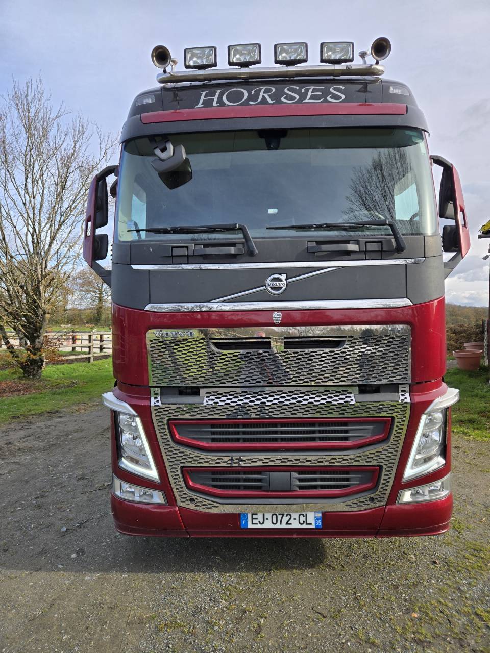 Zware paardenvrachtwagen (groot rijbewijs) Volvo FH 460CH EURO6 2017 Tweedehands
