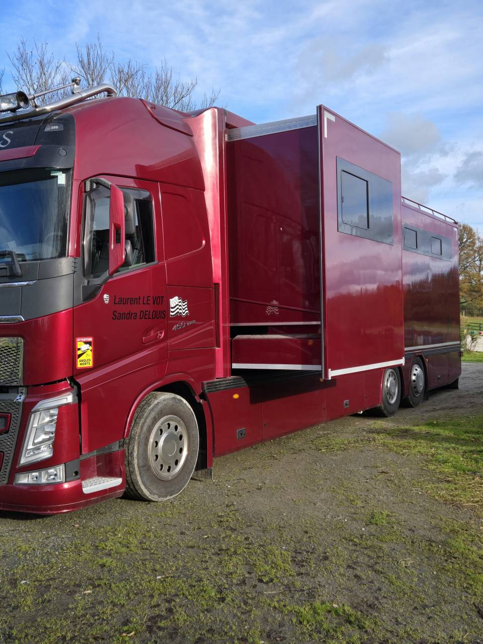 Zware paardenvrachtwagen (groot rijbewijs) Volvo FH 460CH EURO6 2017 Tweedehands