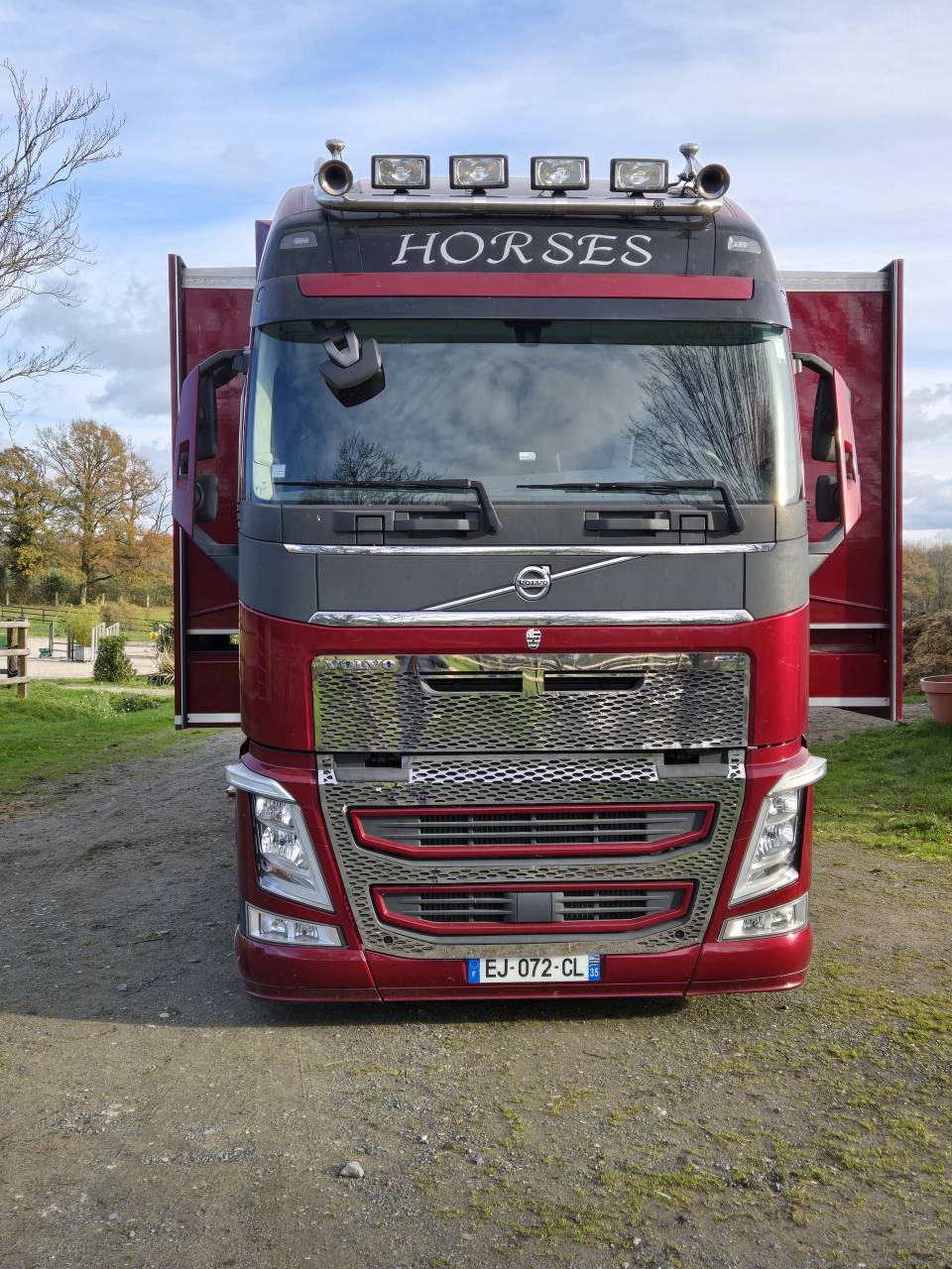 Zware paardenvrachtwagen (groot rijbewijs) Volvo FH 460CH EURO6 2017 Tweedehands