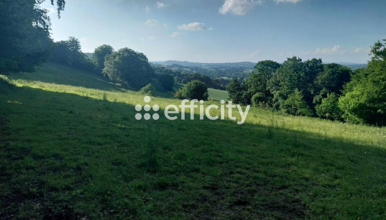 Hippisch vastgoed Koop Calvados