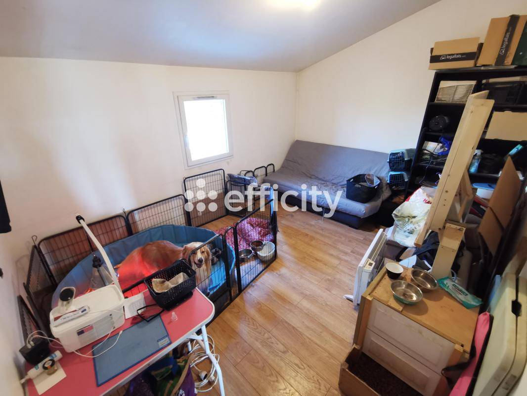 Hippisch vastgoed Koop Calvados