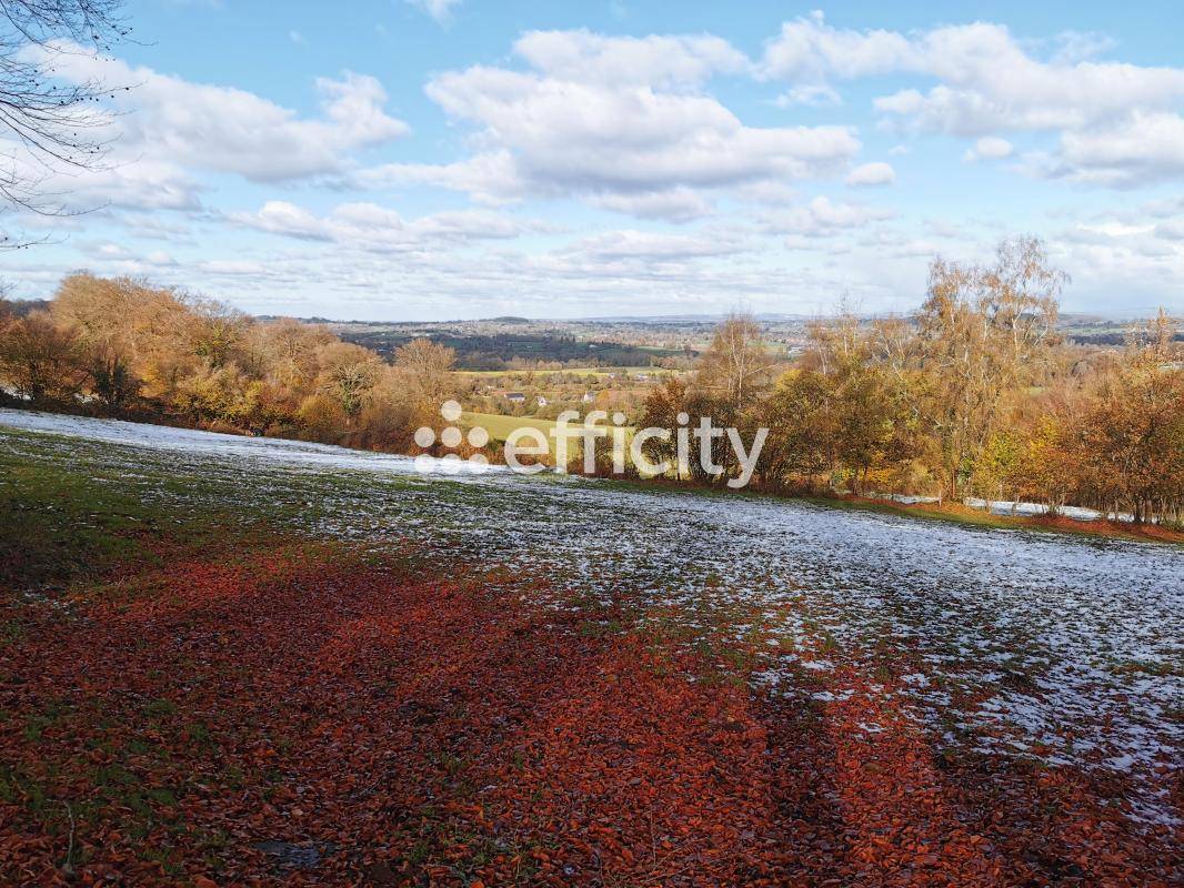 Hippisch vastgoed Koop Calvados