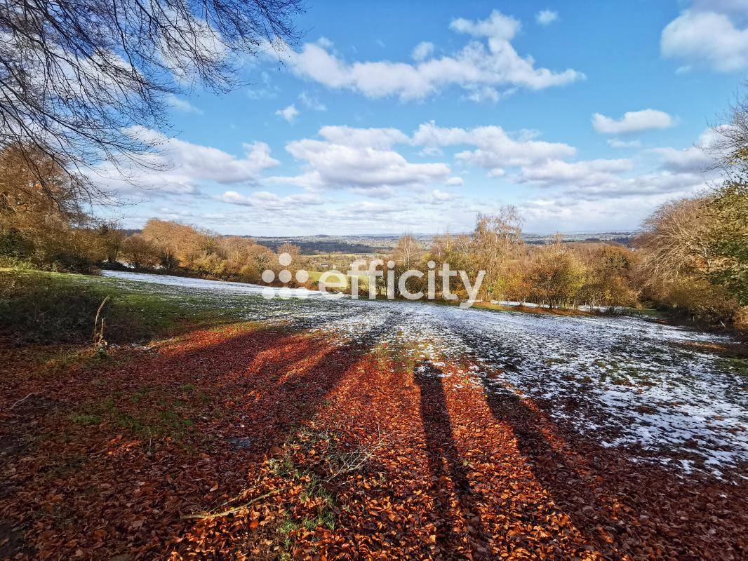 Hippisch vastgoed Koop Calvados