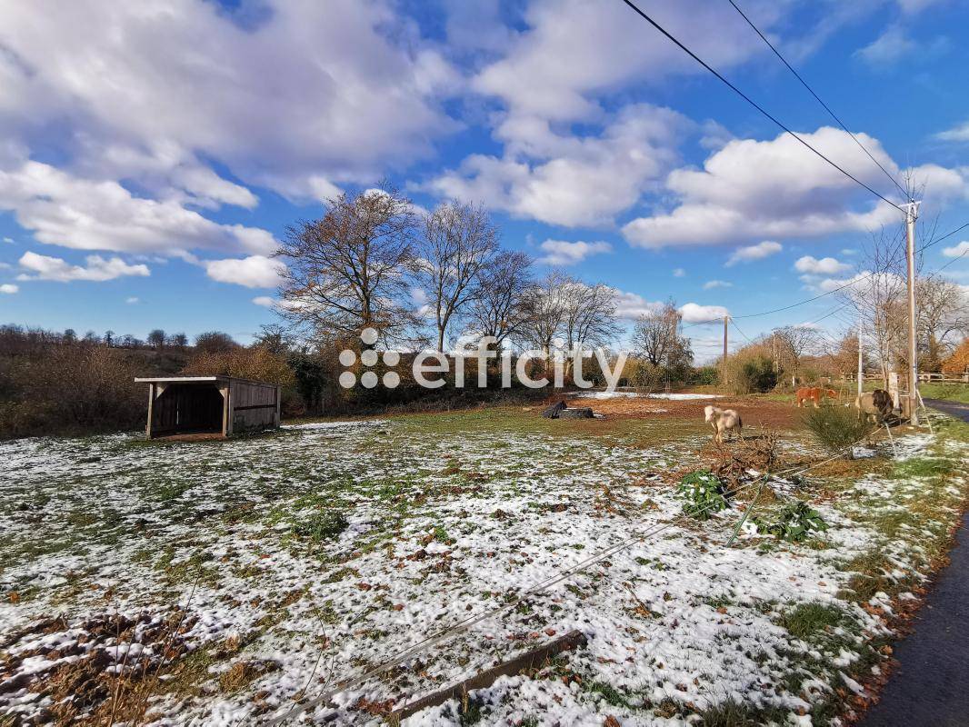 Hippisch vastgoed Koop Calvados