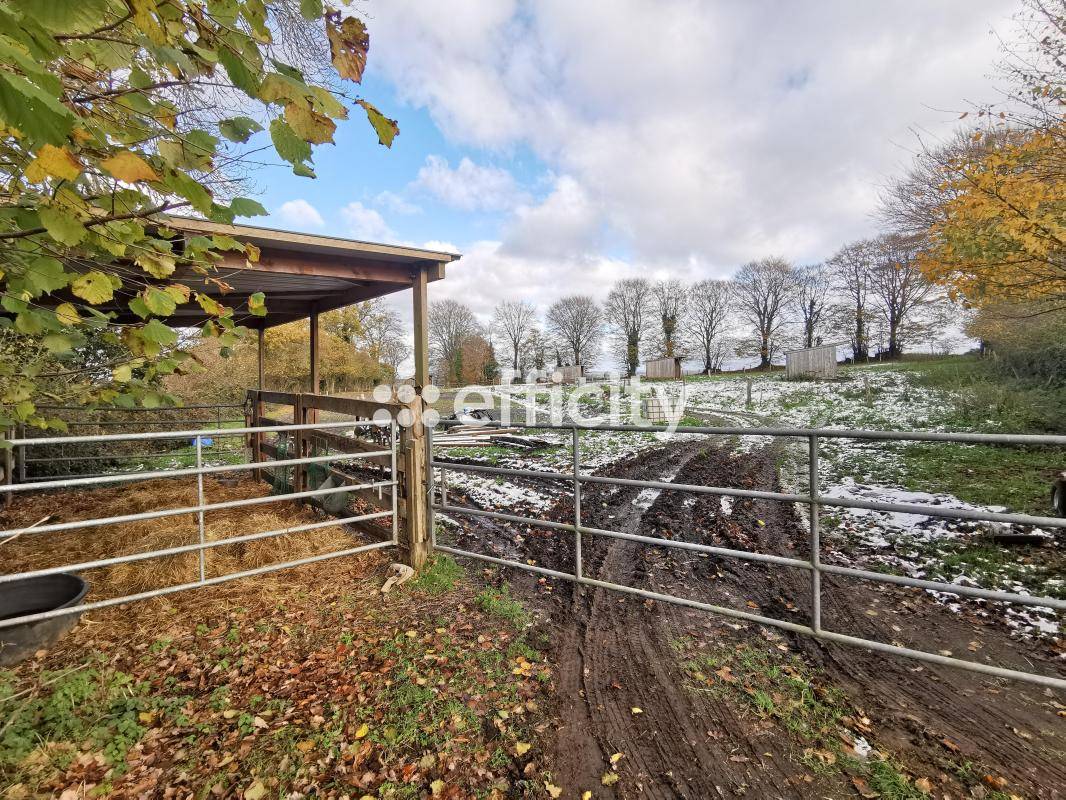 Hippisch vastgoed Koop Calvados
