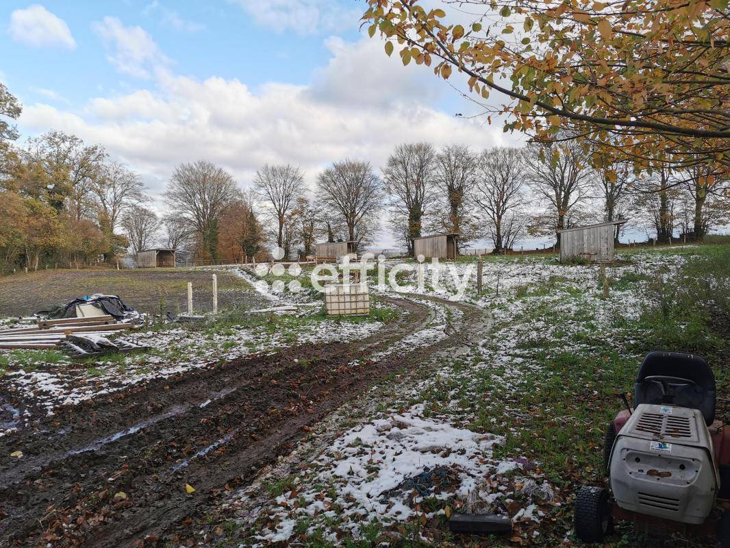 Hippisch vastgoed Koop Calvados