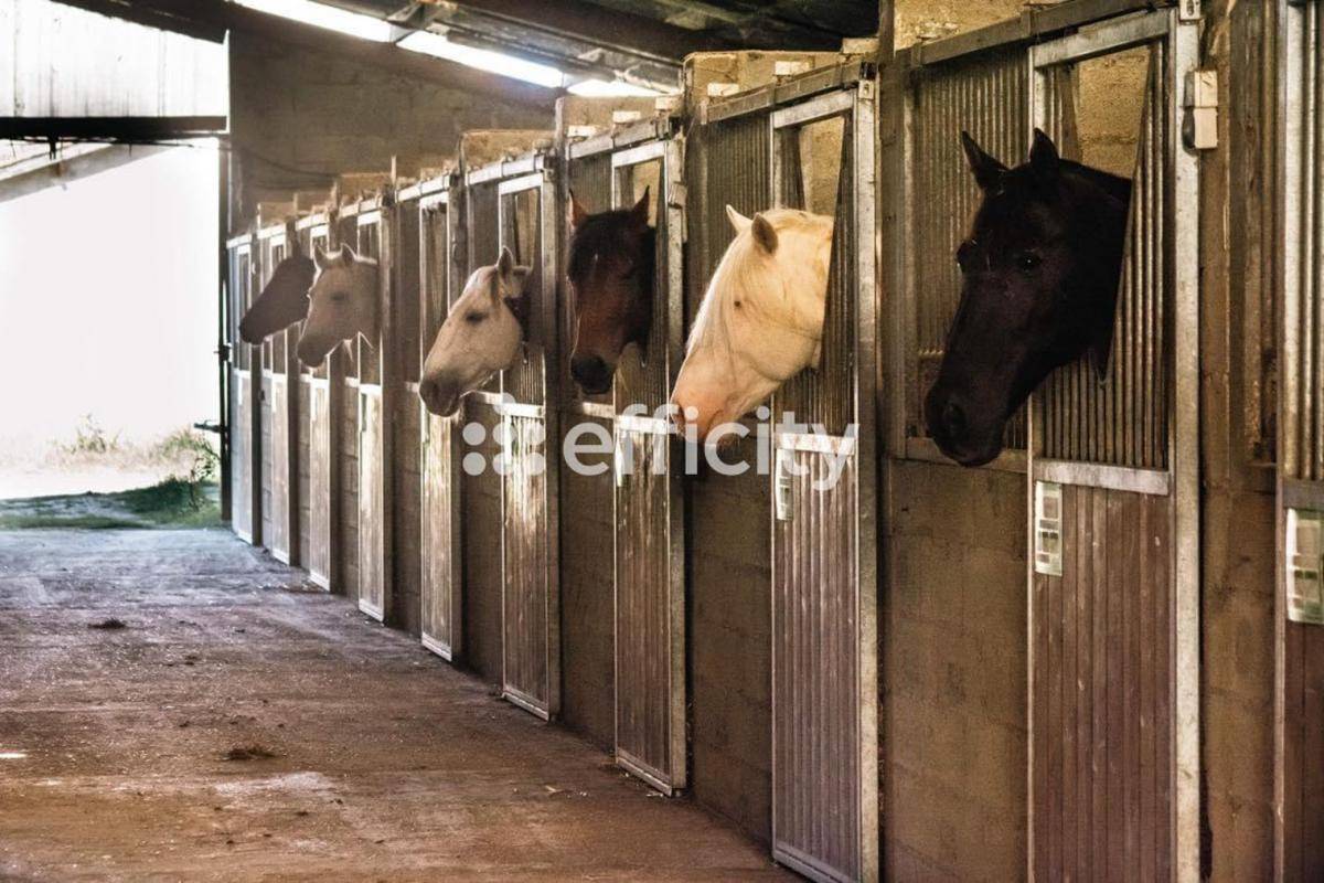 Hippisch vastgoed Koop Gers