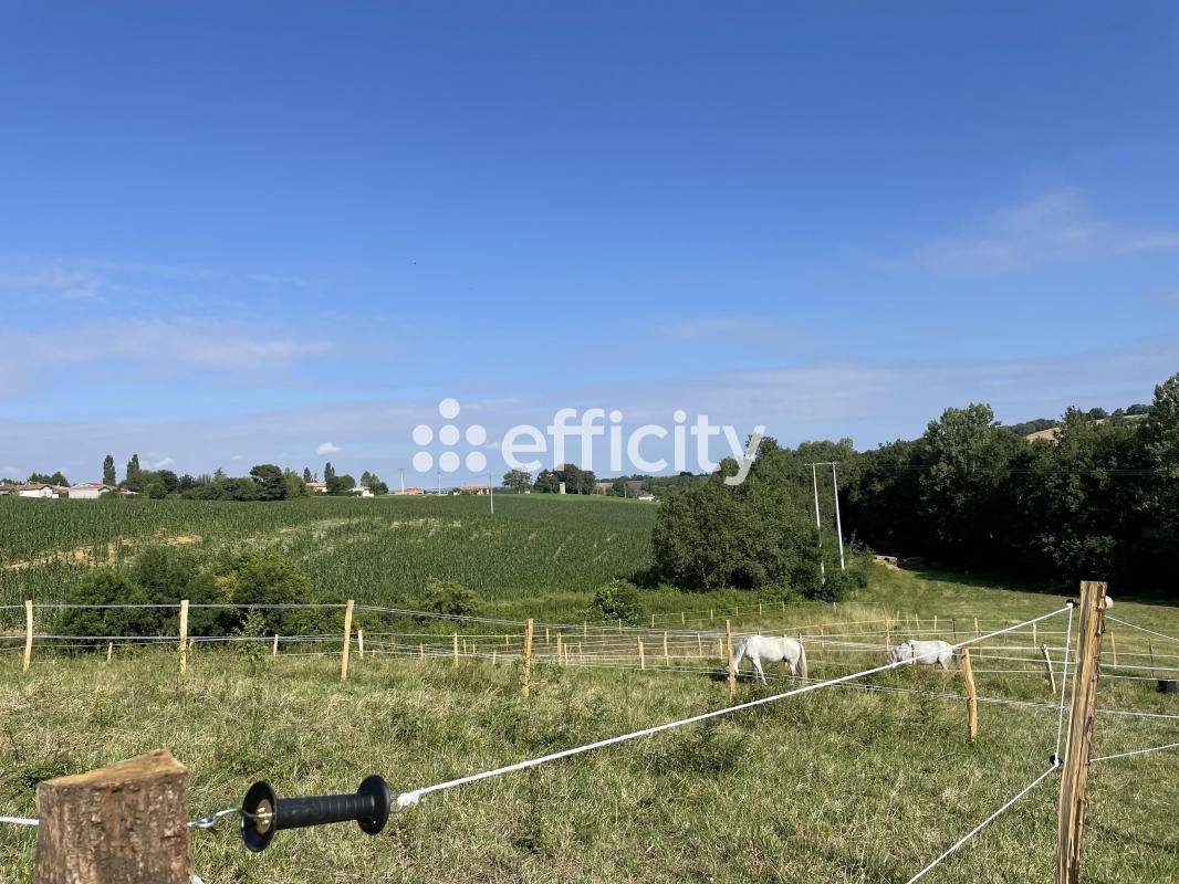 Hippisch vastgoed Koop Gers