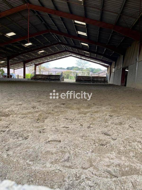 Hippisch vastgoed Koop Gers