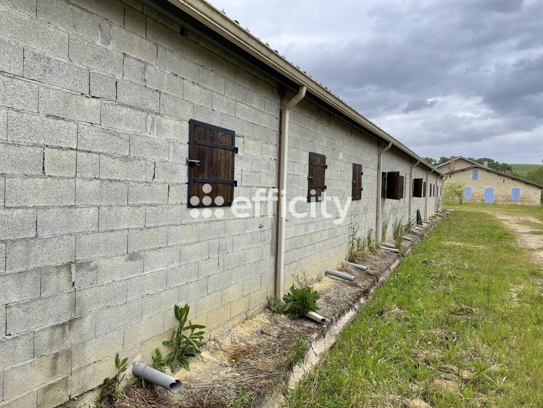 Hippisch vastgoed Koop Gers