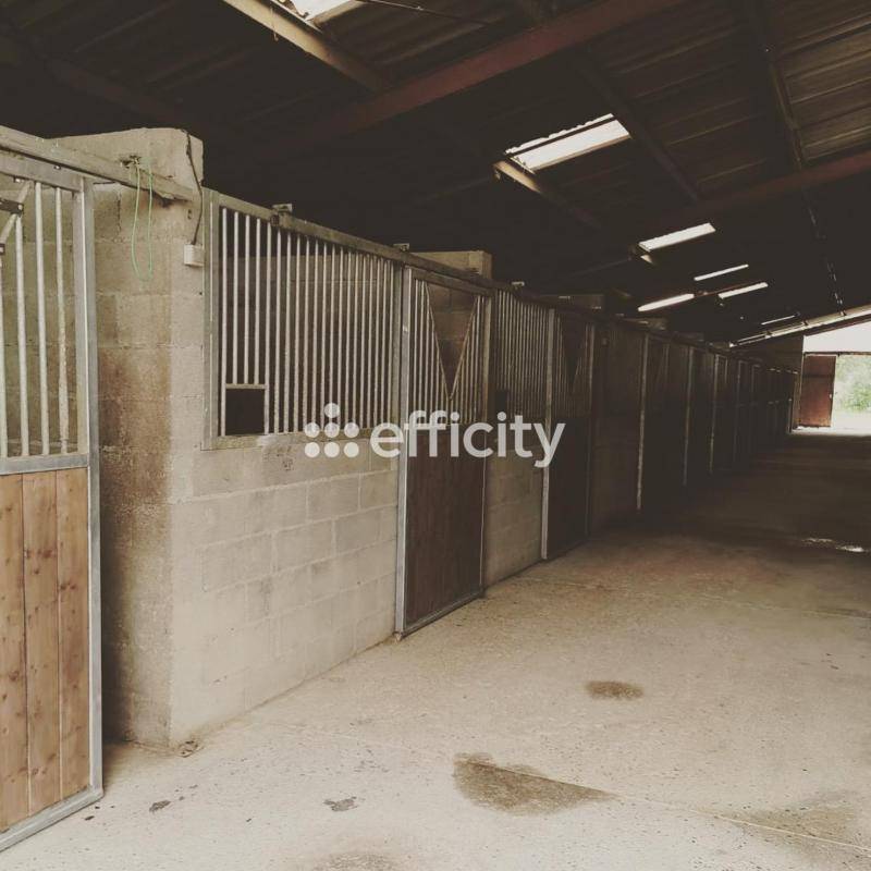 Hippisch vastgoed Koop Gers