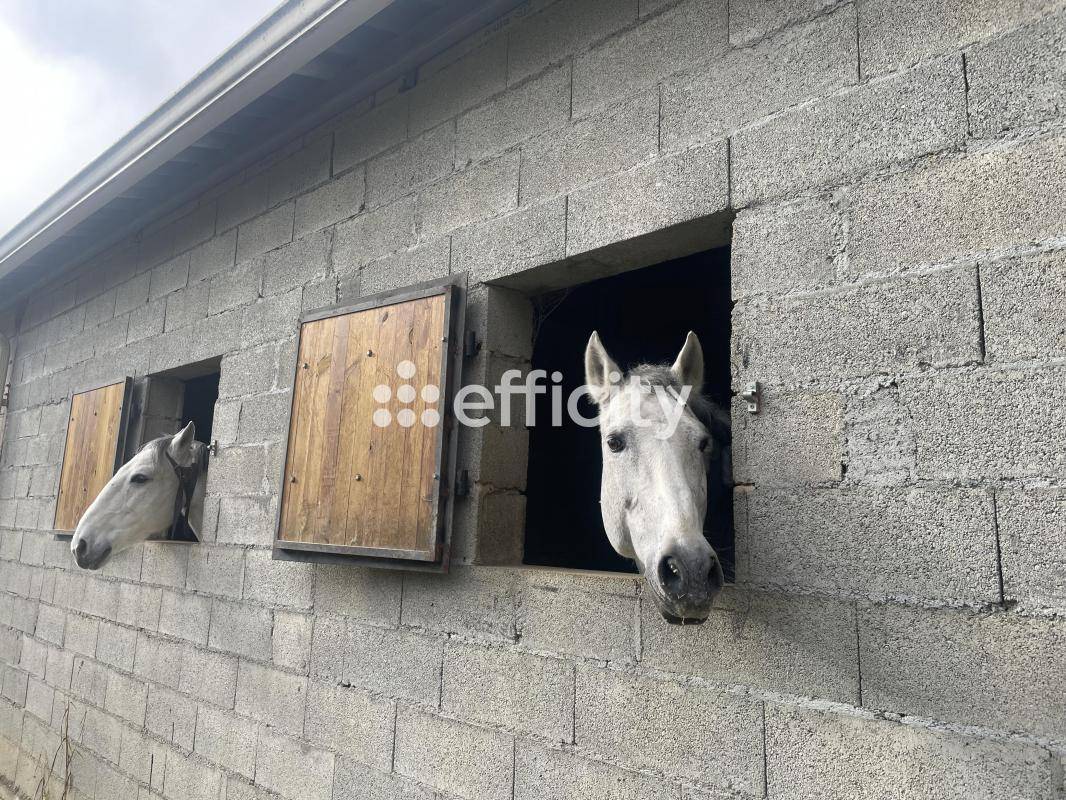 Hippisch vastgoed Koop Gers