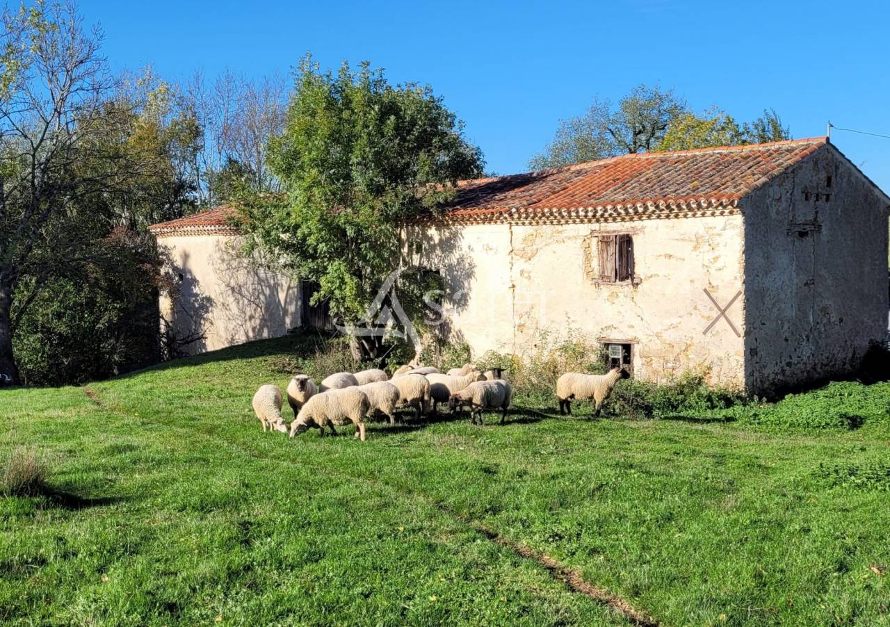 Landbouw bedrijf Koop tarn