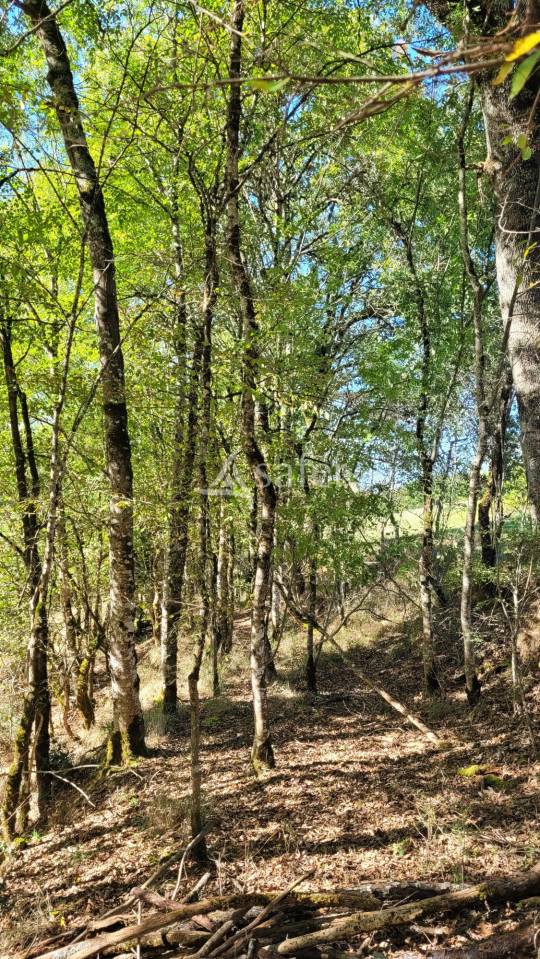 Landbouw bedrijf Koop tarn