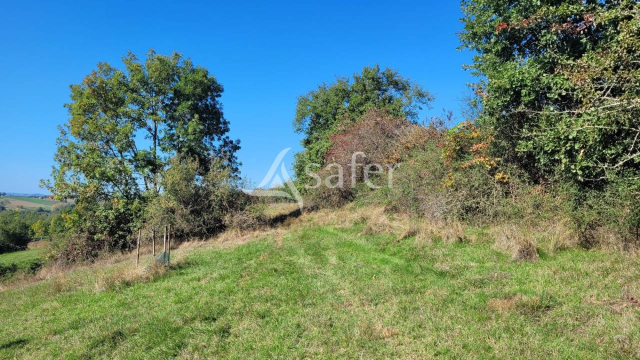Landbouw bedrijf Koop tarn