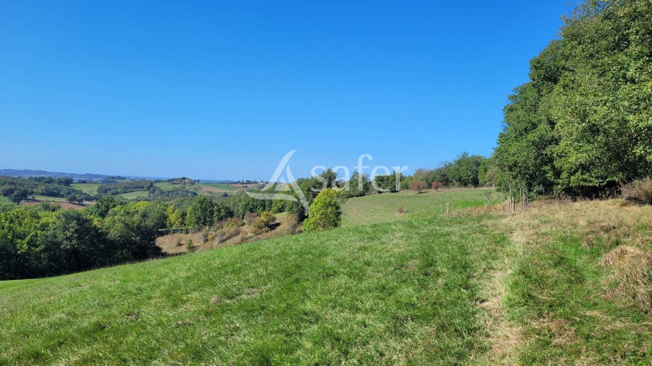Landbouw bedrijf Koop tarn