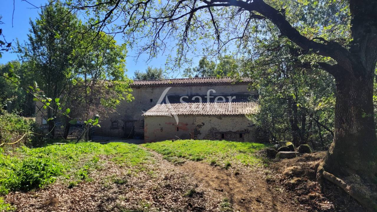 Landbouw bedrijf Koop tarn