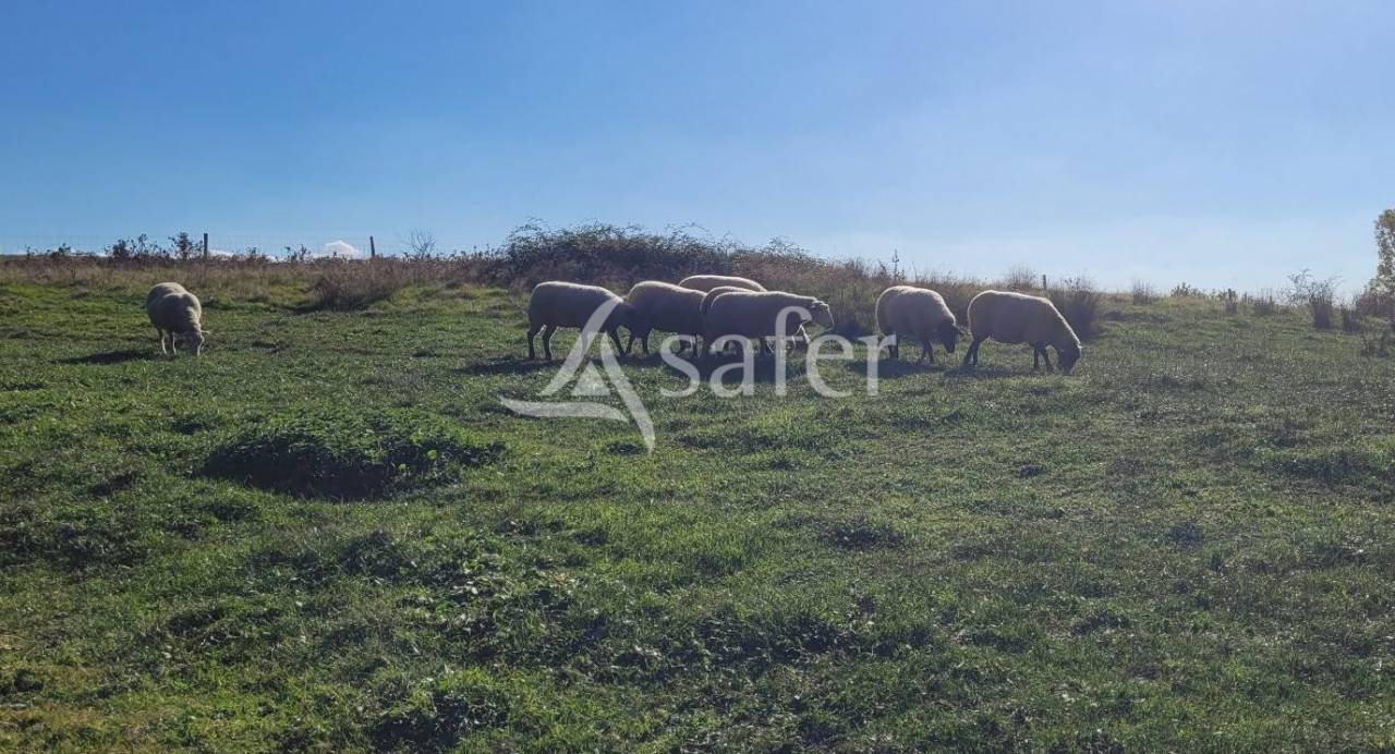 Landbouw bedrijf Koop tarn