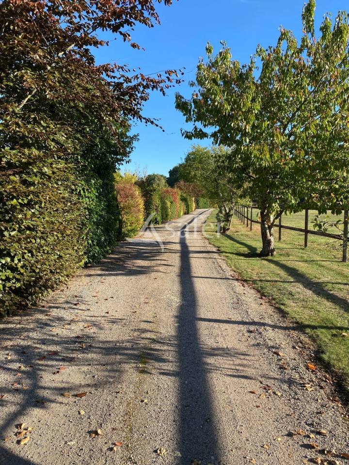 Hippisch vastgoed Koop Calvados