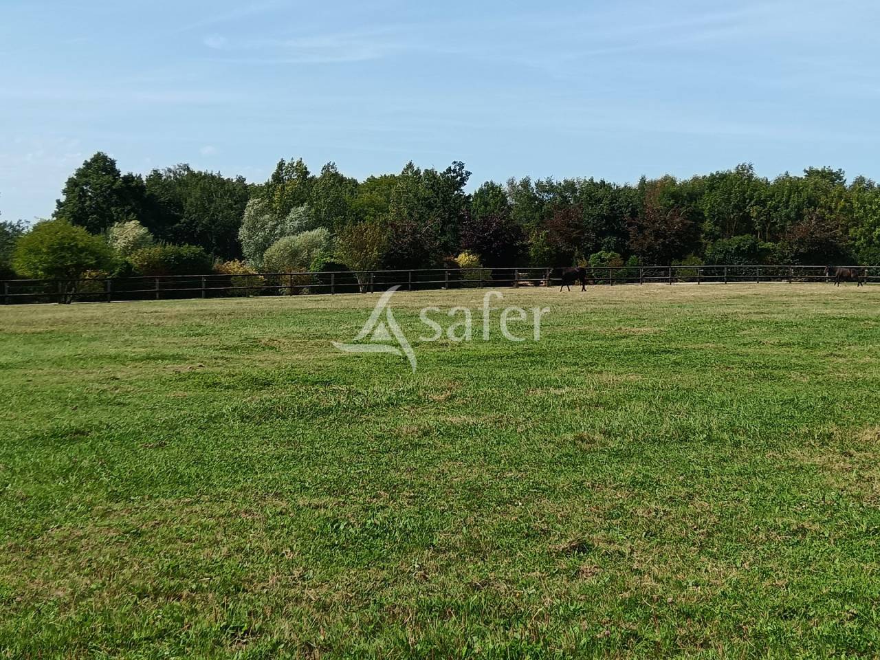 Hippisch vastgoed Koop Calvados