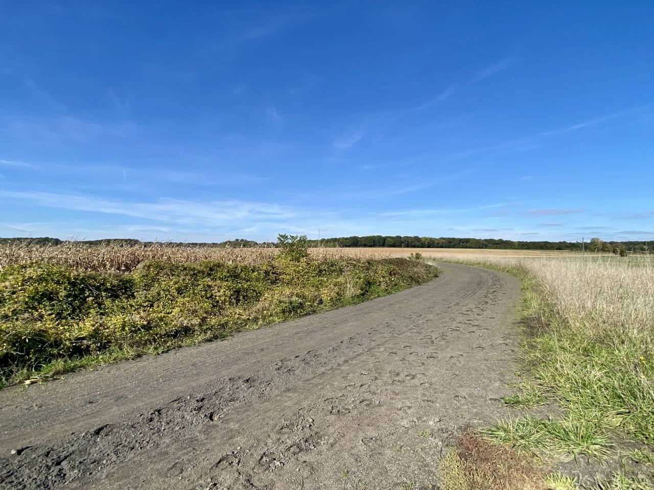 Eigenaren stal Koop Seine-et-Marne