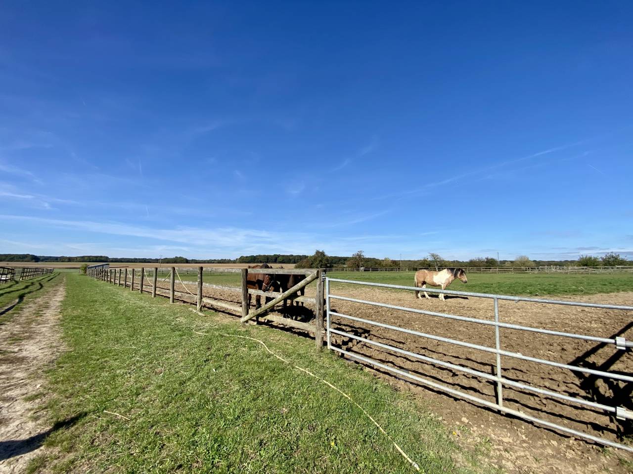 Eigenaren stal Koop Seine-et-Marne